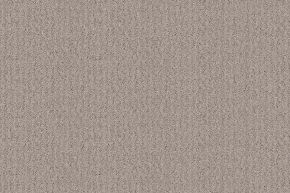 A swatch of Ulster Velvet Tankard from Ulster Carpets