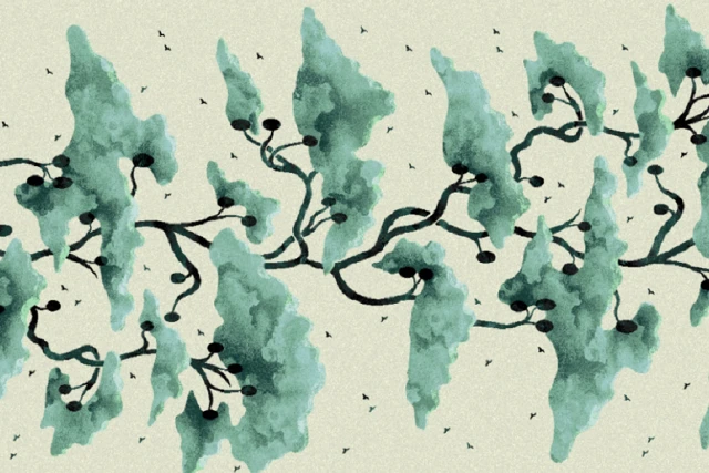AH183265-1Q10_Forest_Designers_Edit_Ulster_Carpets.png