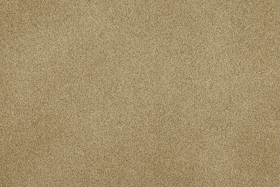 A swatch of York Wilton Catkin from Ulster Carpets