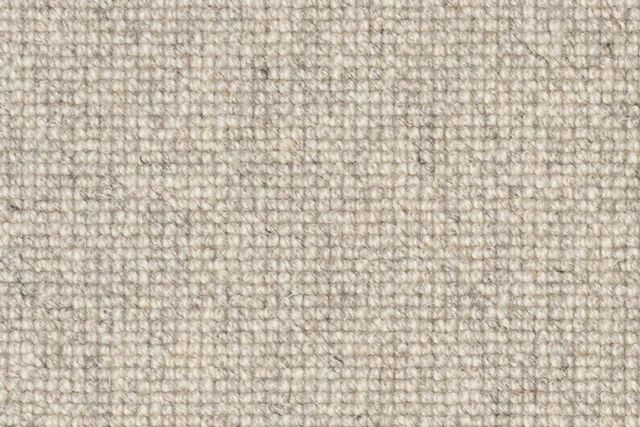 FLOCK 900X600.jpg