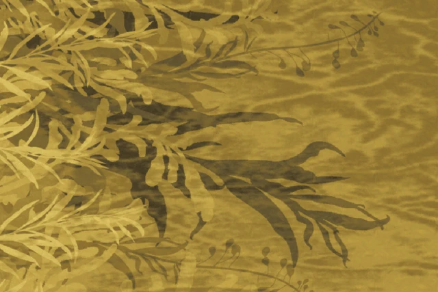 GA134731-1Q9_Seeds_Designers_Edit_Ulster_Carpets.png