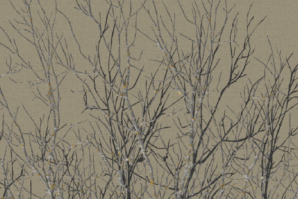 AH145386-1Q9_Forest_Designers_Edit_Ulster_Carpets.png