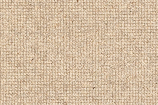 MOOR 900X600.jpg
