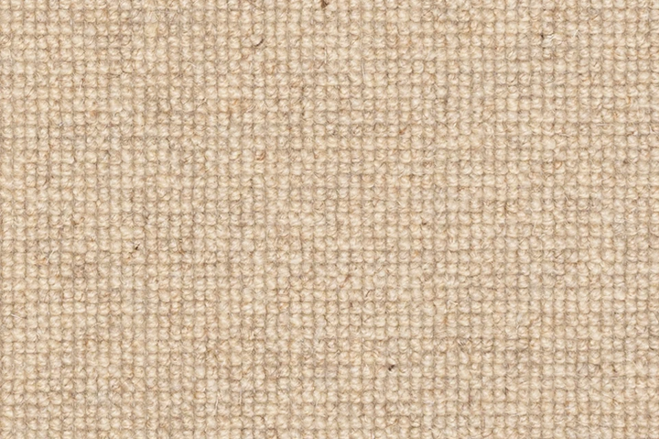 MOOR 900X600.jpg