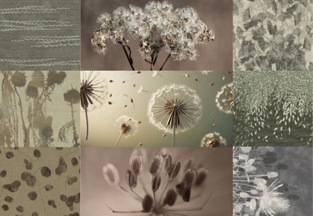 A mood board for the Seeds Designers' Edit Collection from Ulster Carpets