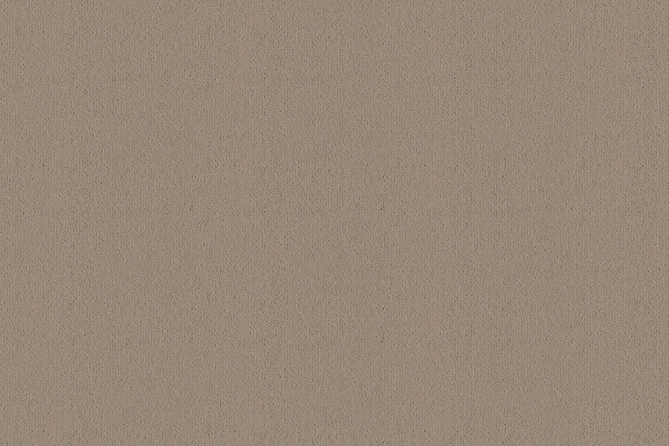 A swatch of Ulster Velvet Dovecote from Ulster Carpets