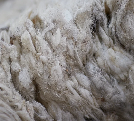 Does_all_wool_perform_the_same_Ulster_Carpets_Ulster_Yarns.png