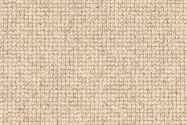 BELLWETHER 900X600.jpg