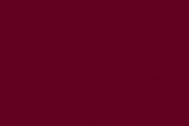 A swatch of Ulster Velvet Burgundy from Ulster Carpets