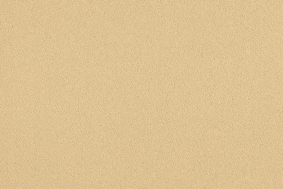 A swatch of Ulster Carpets Natural Choice Plains Eider