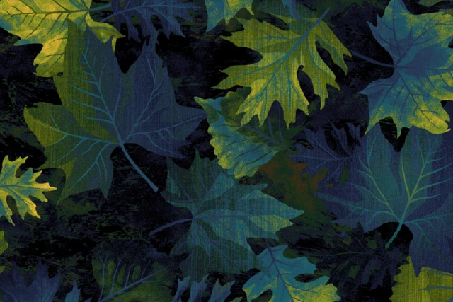 RO159876-1Q10_Botanical_Designers_Edit_Ulster_Carpets.png